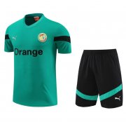 2022 FIFA World Cup Senegal Green Training Kits Shirt with Shorts