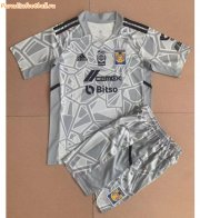 Kids Tigres UANL 2022-23 Grey Goalkeeper Soccer Kits Shirt With Shorts