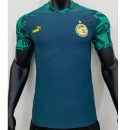 2022 FIFA World Cup Senegal Green Training Shirt Player Version