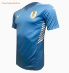 2021 Copa America Uruguay Home Socccer Jersey Shirt