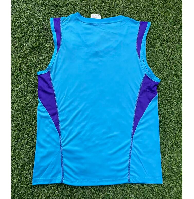 2022 FIFA World Cup Argentina Three Stars Blue Training Vest Shirt - Click Image to Close